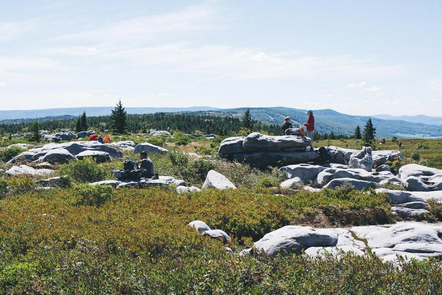 Dolly sods day hikes hotsell